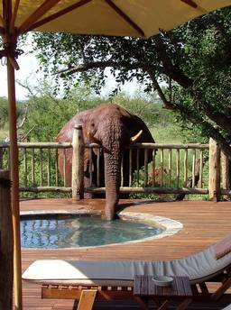 Etali Safari Lodge Madikwe