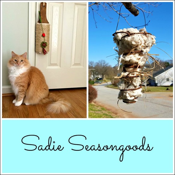 this week at Sadie Seasongoods this week at Sadie Seasongoods