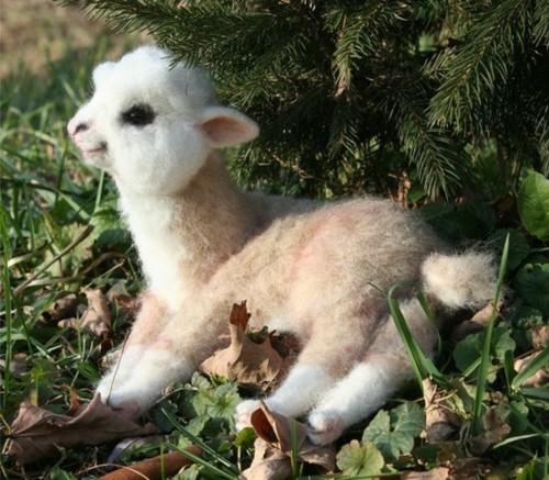 baby-llama